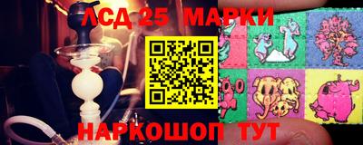 спиды Обь