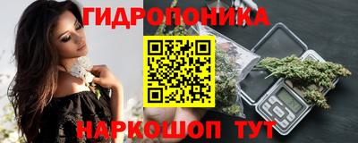 спиды Обь