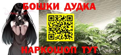 spice Обнинск