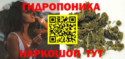 спиды Обь