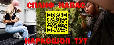 спиды Обь