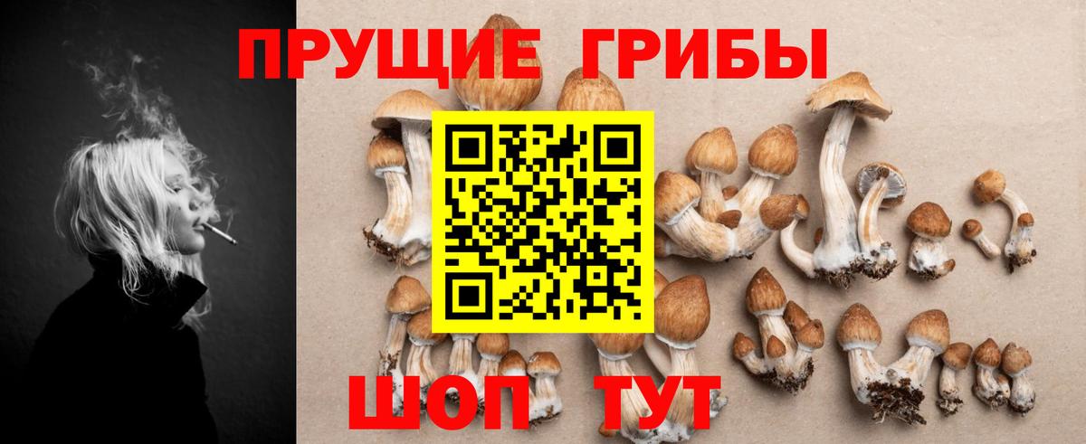 Галлюциногенные грибы Magic Shrooms Геленджик